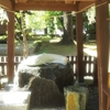 佐賀の旅その４　豊玉姫神社の白なまずから嬉野温泉へ