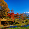 おすすめ紅葉スポットは六甲山！車中泊ドライブで秋の観光を味わい尽くす！