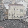 ３．１０（火・雪／晴れ）大の里、どこ行った？？　３月の雪。東証、半値戻し。