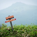 障害者と健常者の接点を探る