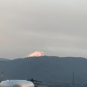 sydneytokyo’s diary