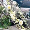 腕痛い