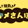 カメさんぽ＊その1　チュートリアル～3匹目のカメまで