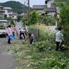 嫌はれて絡まれてなほ蔓もどき(あ）