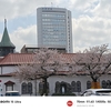 桜舞う街をあるけば「長町」