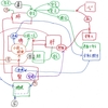 東洋医学のお話し①