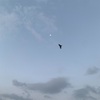 ウォーキング🐾
