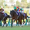 競馬初心者必見☆馬券予想🔥〜秋華賞〜三冠牝馬誕生なるか！？注目のクラシック最終戦‼️