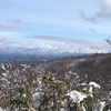 今年初、小佐波御前山