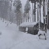 豪雪地帯の風景