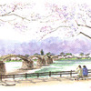 桜咲く錦帯橋
