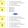 pythonであるフォルダ内のファイル名を参照して別のフォルダ内のファイルをリネーム