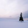 Gene KeysのShadowは「裏返し」じゃない。Giftへの扉を開く鍵