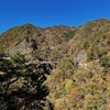 令和2年　紅葉