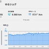 【黒部３日前】マラソンランキングとかＯＴＴとか