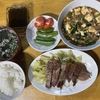 ワンコもお風呂で温まる