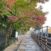 本当は教えたくない南禅寺、永観堂エリアの紅葉の攻略法