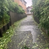 台風　みなさんお疲れ様です