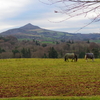 アイルランド旅行12月編