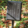 万葉集の世界へ飛び込もう―書籍掲載歌を中軸に（Ⅲ）―宴する歌（４）