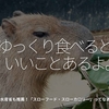 590食目「ゆっくり食べるといいことあるよ。」農林水産省も推薦！【スローフード／スローカロリー】ってなあに？