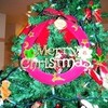 merry Christmas(^_-)-☆