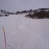 胎内 5 / わかぶな 9　　ついに…　ｎｏｎ　ｓｔｏｐ！