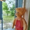 人生初の福井県