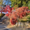 山口県地方史学会創立７０周年記念大会聴講と史跡訪問など⑤亀山公園山頂広場