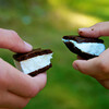 Gingerbread食べてる間にIce Cream Sandwichは溶け、Jelly Beanの雨が降る。