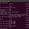 如何在 Linux 发行版上运行Android程序