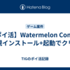 【ポイ活】Watermelon Combo 新規インストール+起動でクリア