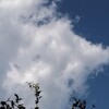 今日を生き延びるための記録 熱中症に負けたくない