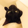 0から1が最もしんどいです。動き始めれば意外とサクサクいきますよ!(^^)!
