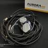 #47 イヤホン Rose Technics(ROSESELSA)Aurora Ultraをレビュー！