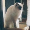 多感な時期