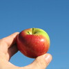 りんごを握り潰すための握力は○○kg！ 世界最高の握力は○○○kg！ リンゴを潰すコツと握力をアップさせる最強グリッパーも紹介