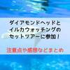 ダイアモンドヘッドとイルカウォッチングのセットツアーに参加！注意点や感想などまとめ