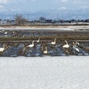 春の気配を感じます！