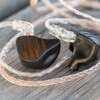 (Chi-fi IEM Review) qdc Tiger: Typical high-end IEMs. Safe as a collector's model. Musical vocal-focused IEMs with high resolution and elegant mellow sound.