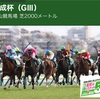 【 ハルの競馬予想 🏇 17.Jan’21 】