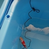 ヒーターしても水温が下がってた