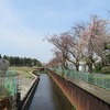 石神井川_集い橋周辺・・桜はちょっと遅かった・・（東京都練馬区）