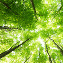 統合失調症よくなりたいよ