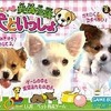 今ゲームボーイアドバンスの仔犬といっしょ! ～愛情物語～にいい感じでとんでもないことが起こっている？