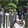 下青野・感神社（三田市）の風景　part４０