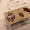 「受講証」作りました