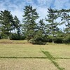 私の強みってなんだろうか