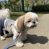 メイ１０歳