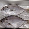 シズ　など　＋　河西鮮魚店お重詰め　追加情報